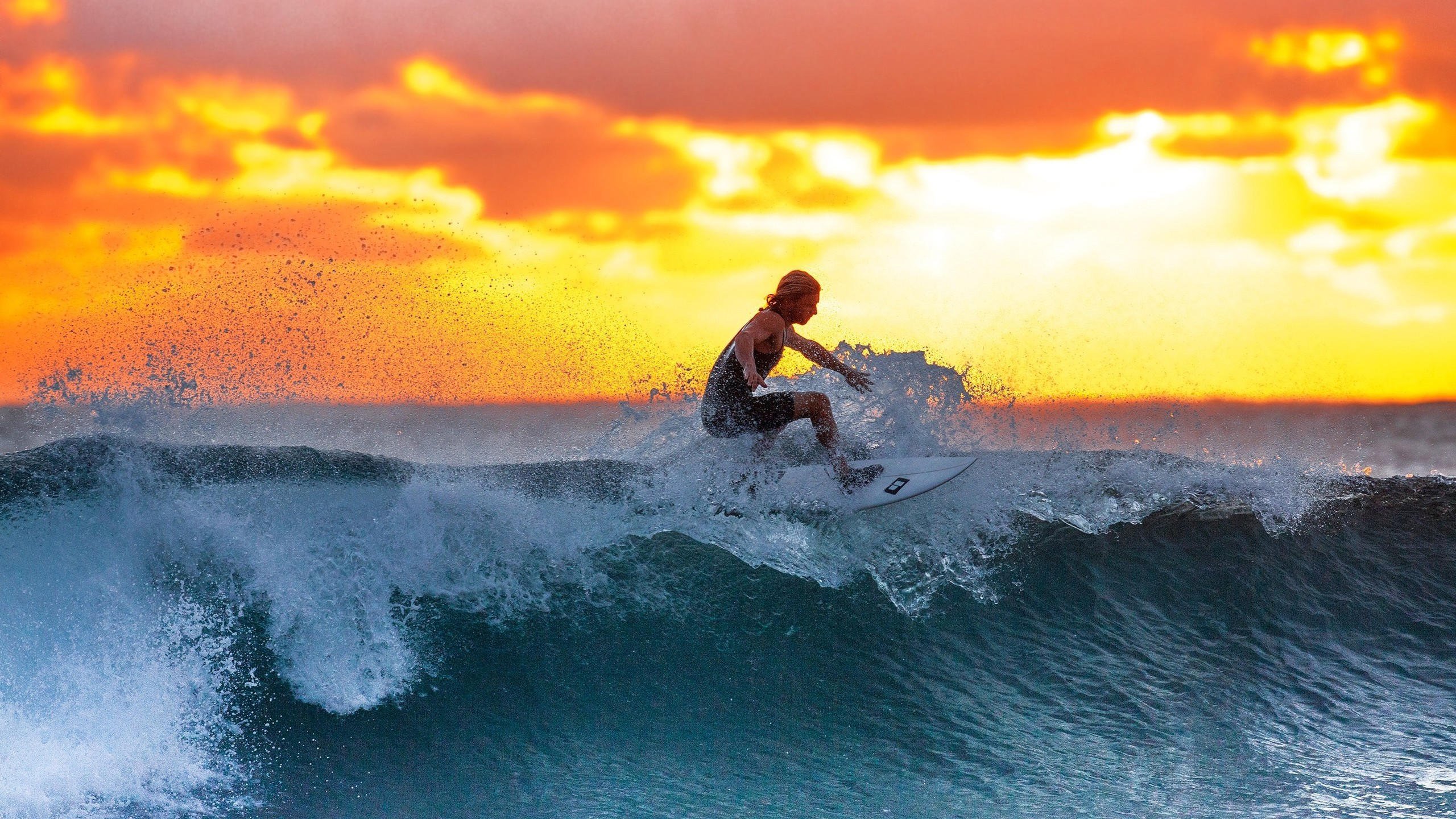 世界杯·唯一指定入口-王者归来！凯恩首战逆风翻盘，DWG主场沸腾